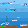 Click here to play the Flash games "Fishy" and "Birdy"